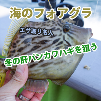カワハギ