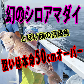 アマダイ