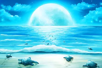 満月のウミガメのふ化