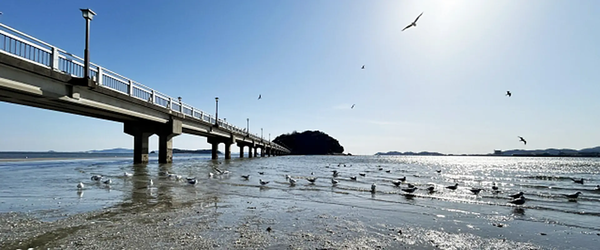生息地