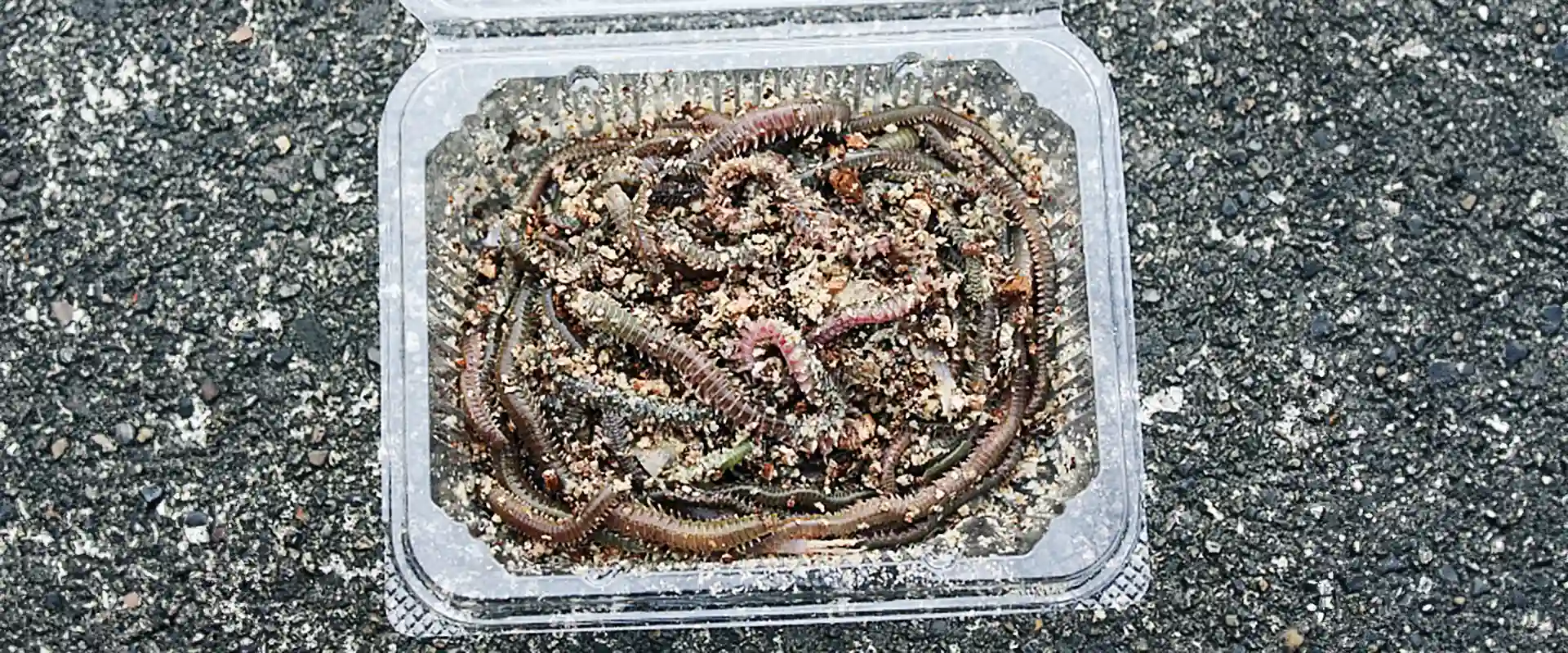 値段