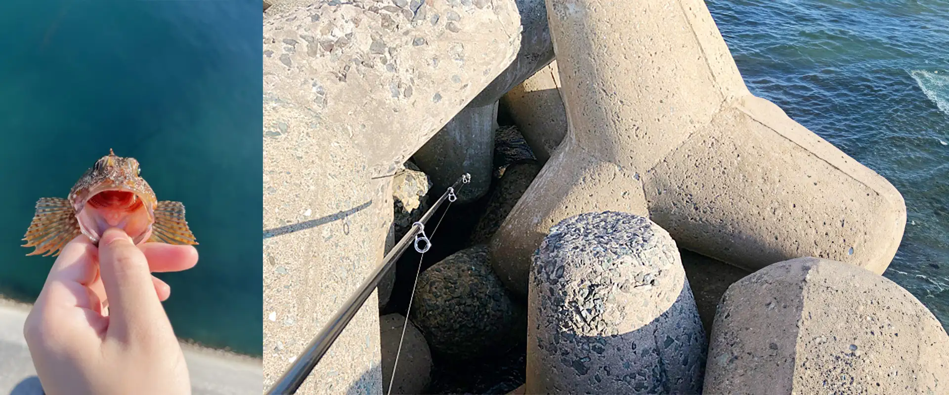 穴釣り