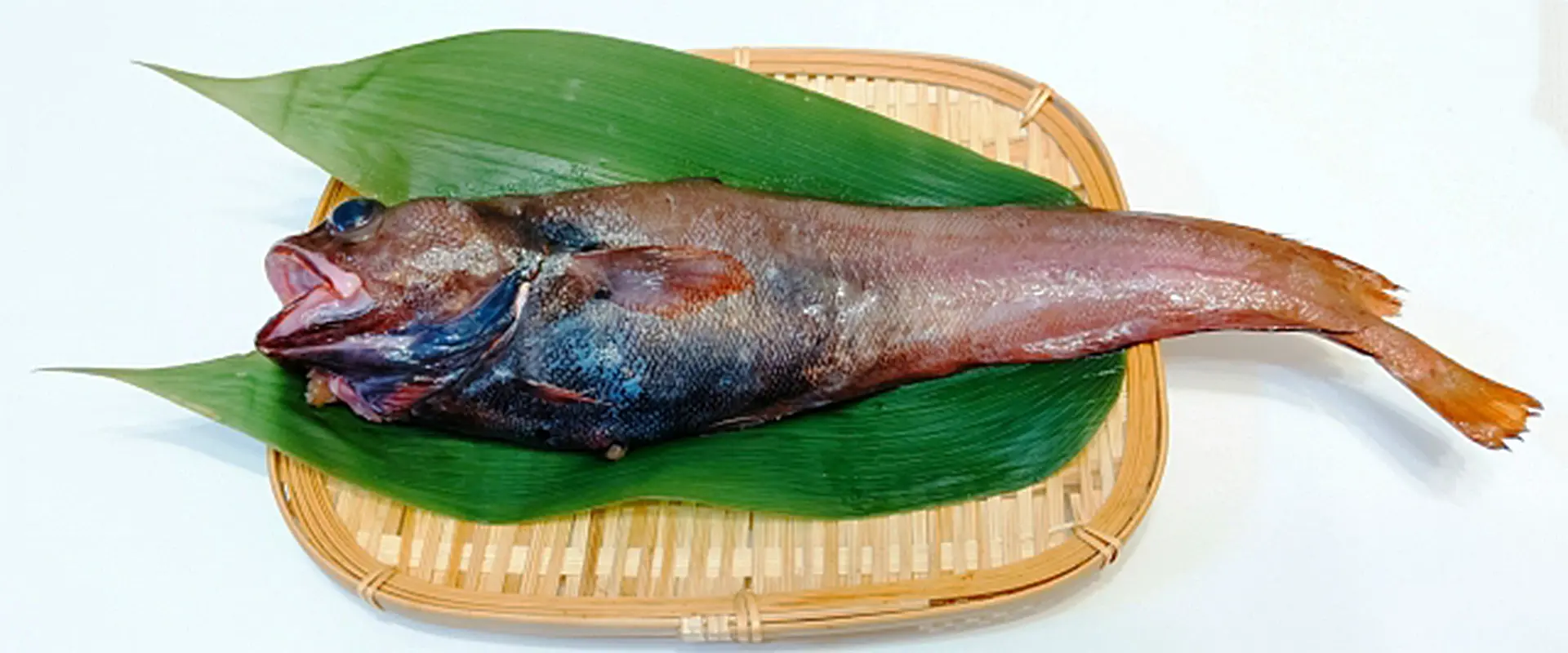 毒あるの？