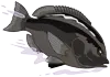 メジナアイコン