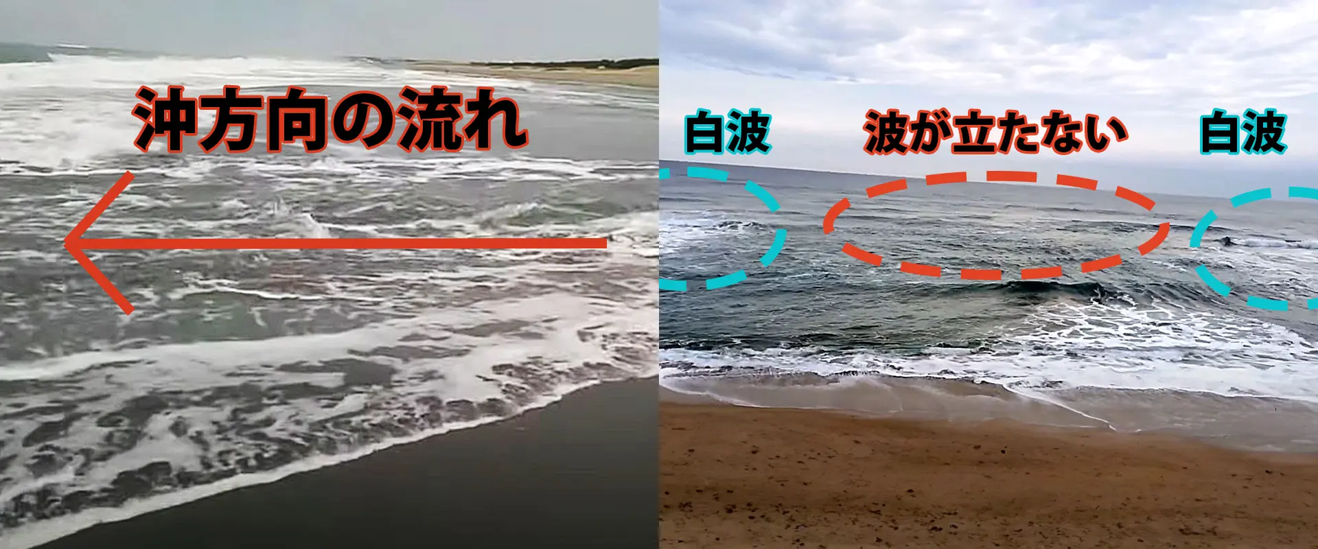 見分け方