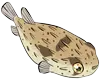 ハリセンボンアイコン