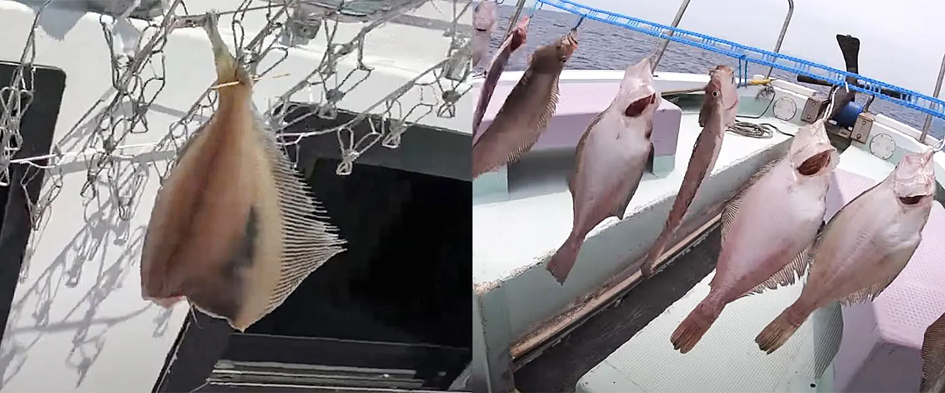 船上干し