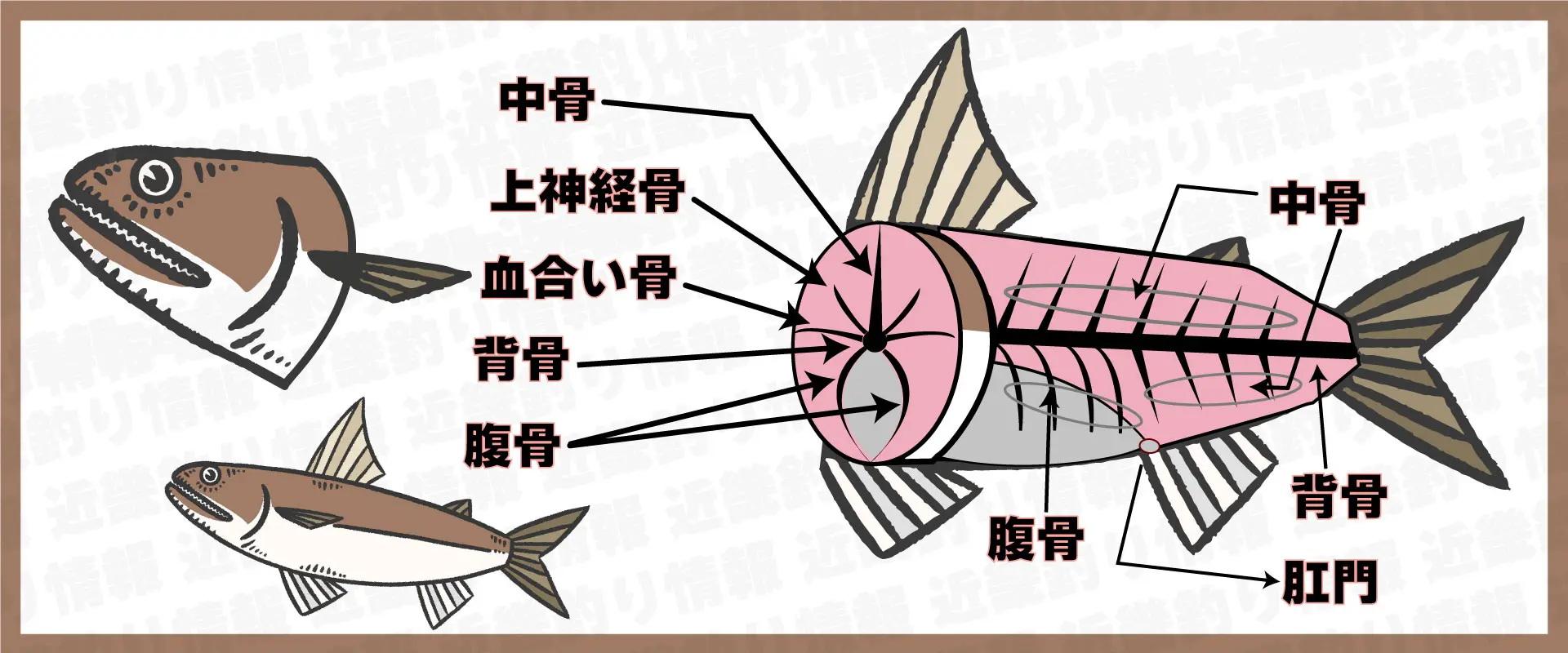 骨だらけ