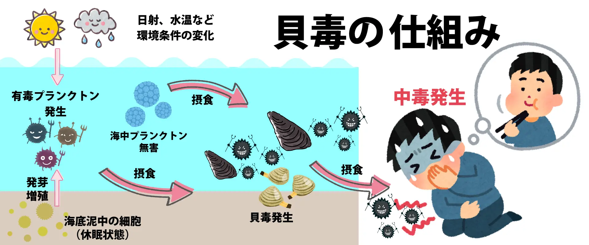 貝毒とは？
