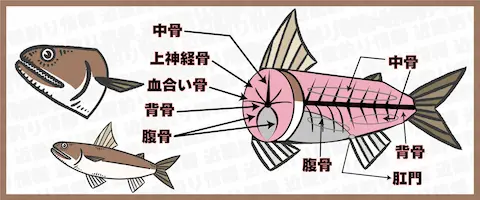骨だらけ