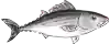 ハガツオアイコン