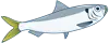 サッパアイコン