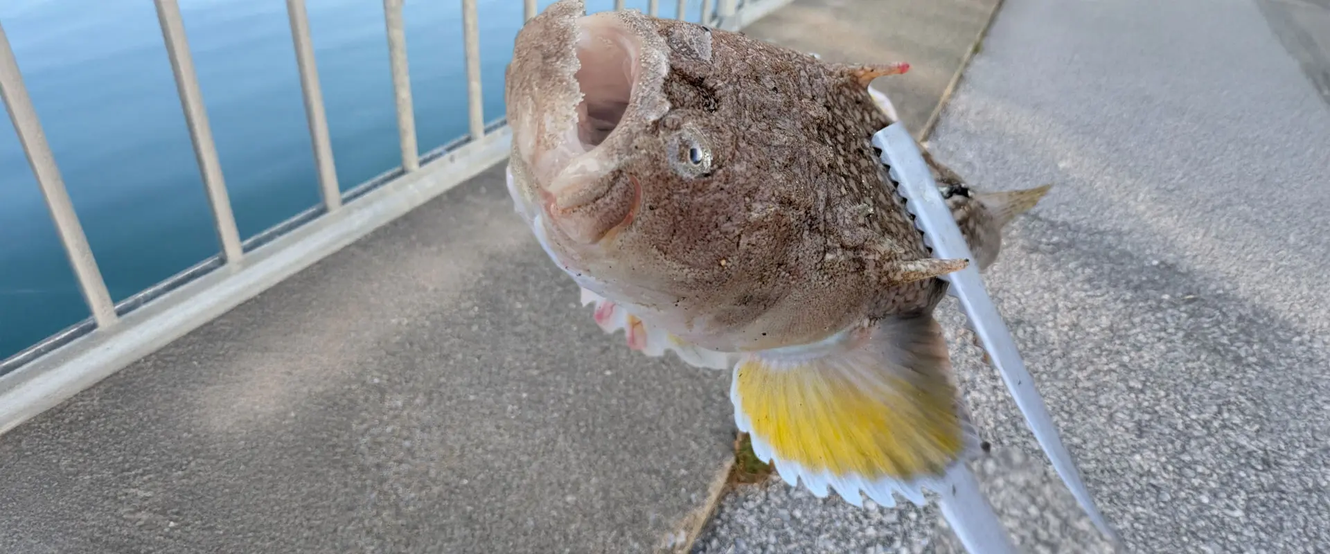 毒はあるの？