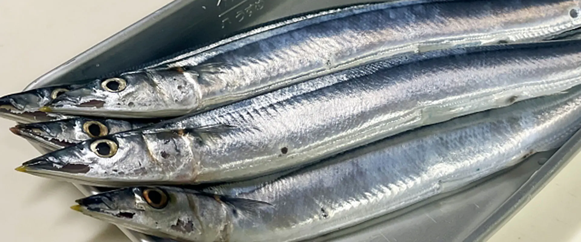 さんまの内臓は「体に悪い」は誤解？知っておきたい安全性