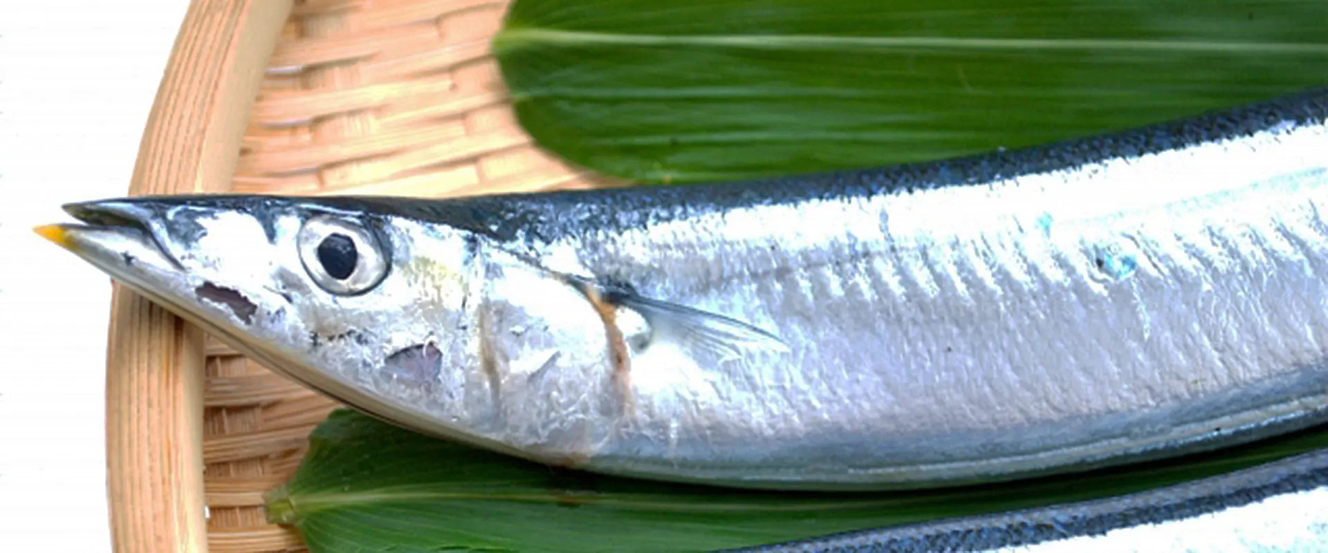 新鮮な内臓を見分けるポイント