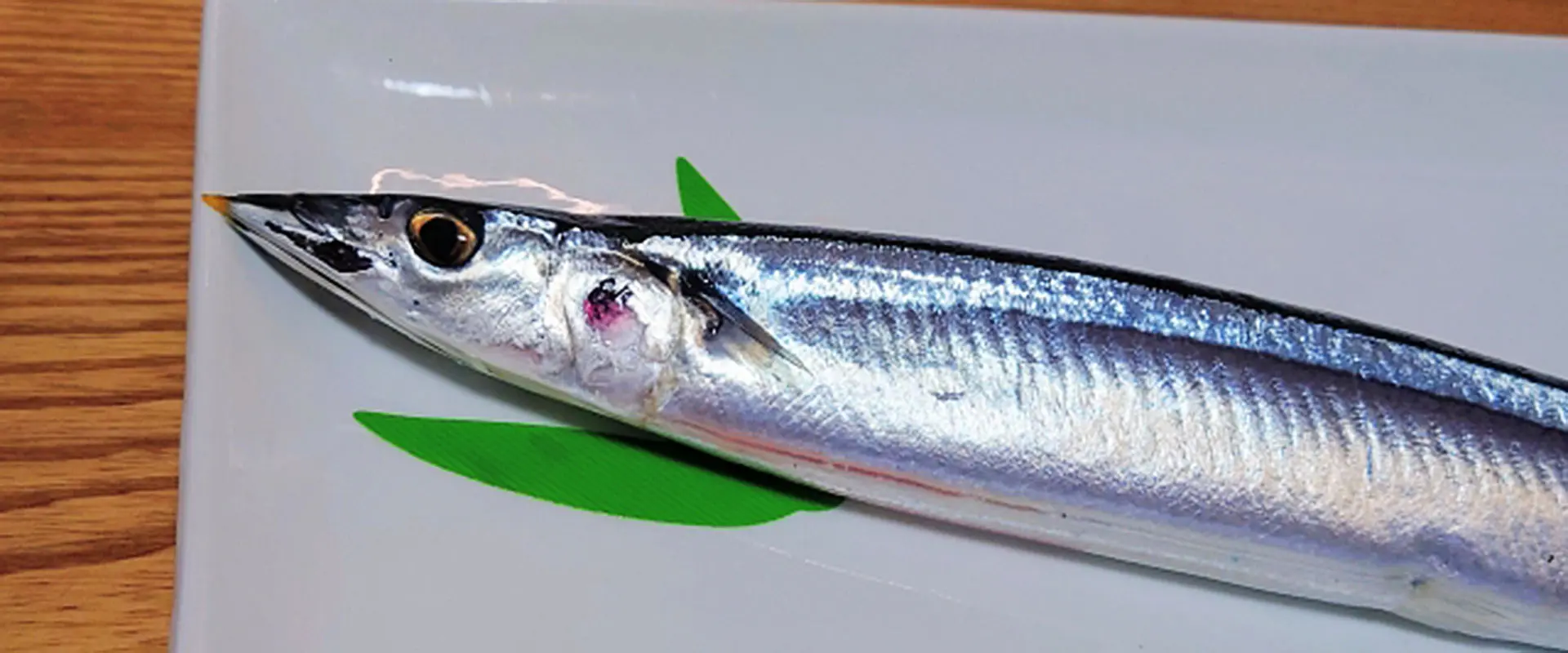 新鮮な内臓を見分けるポイント