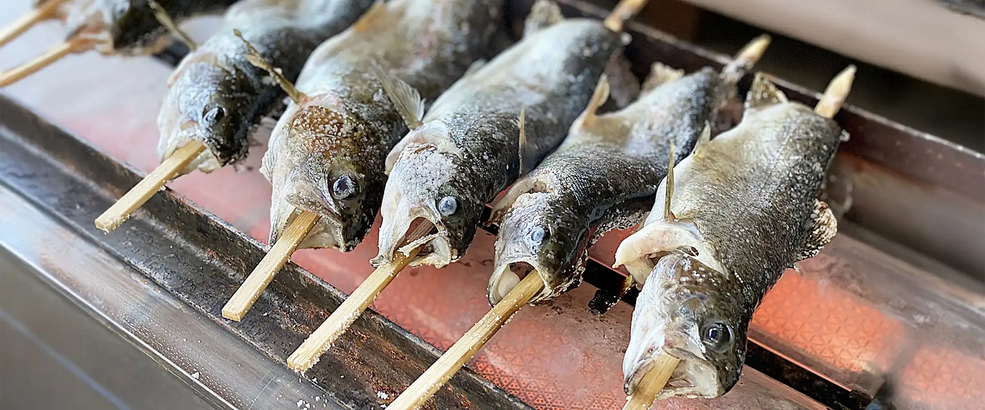 ニジマスの塩焼きがまずい原因は？美味しくする下ごしらえと炭火焼きのコツ