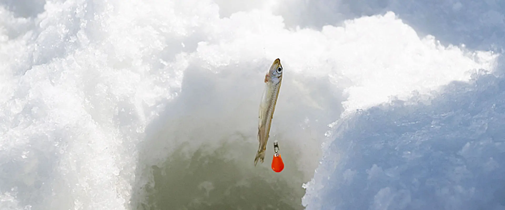 小さいワカサギは下処理なしでOK？天ぷら用に内臓を取る判断基準と臭み消しのコツ まとめ