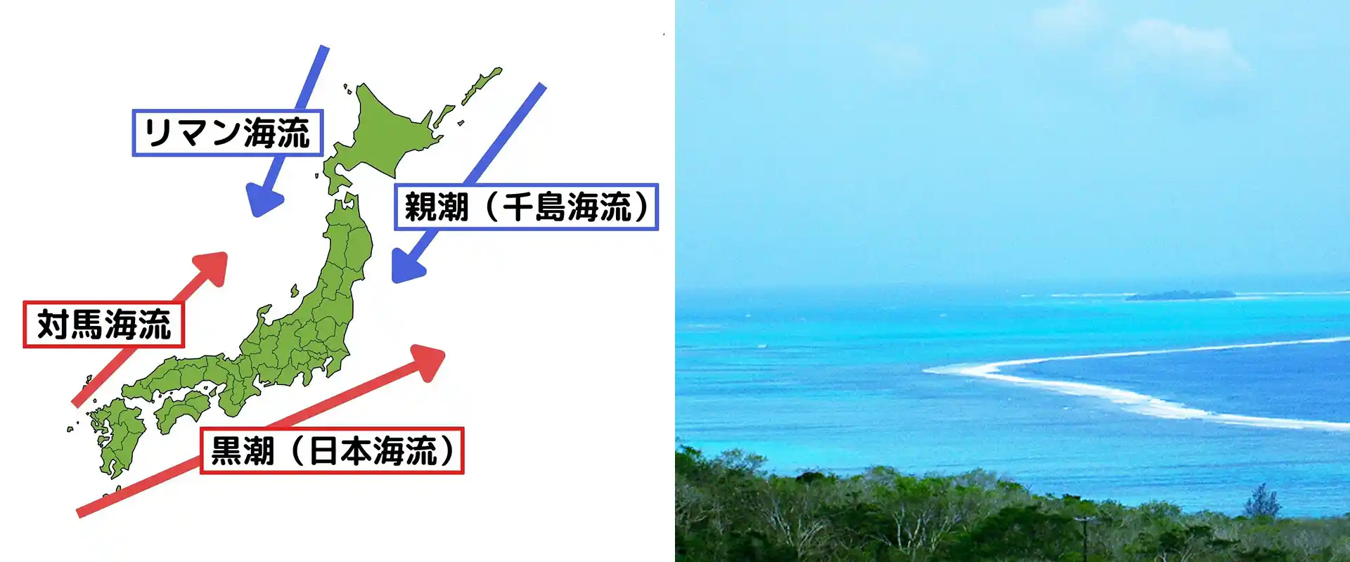 潮目とは？潮境と潮目の違いは？簡単に意味を解説