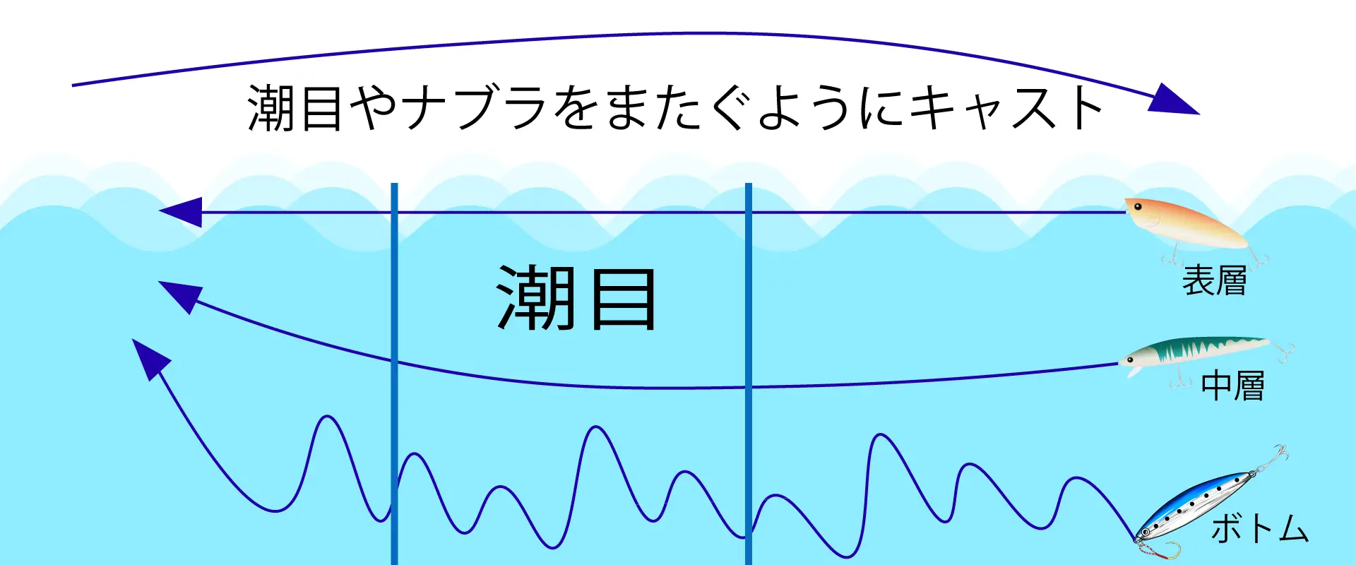 表層から中層、そしてボトムの順番