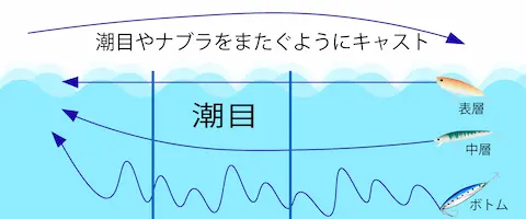 表層から中層、そしてボトムの順番