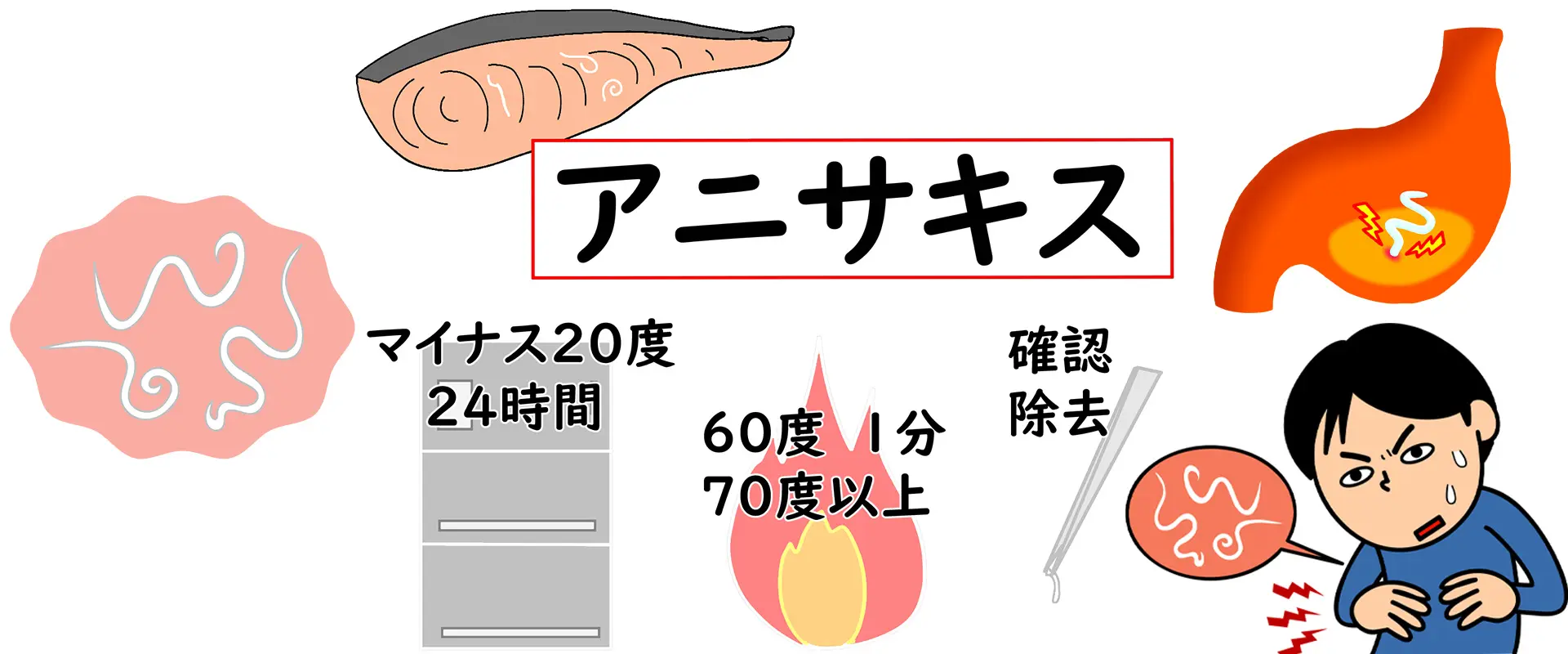 アニサキスとその対策