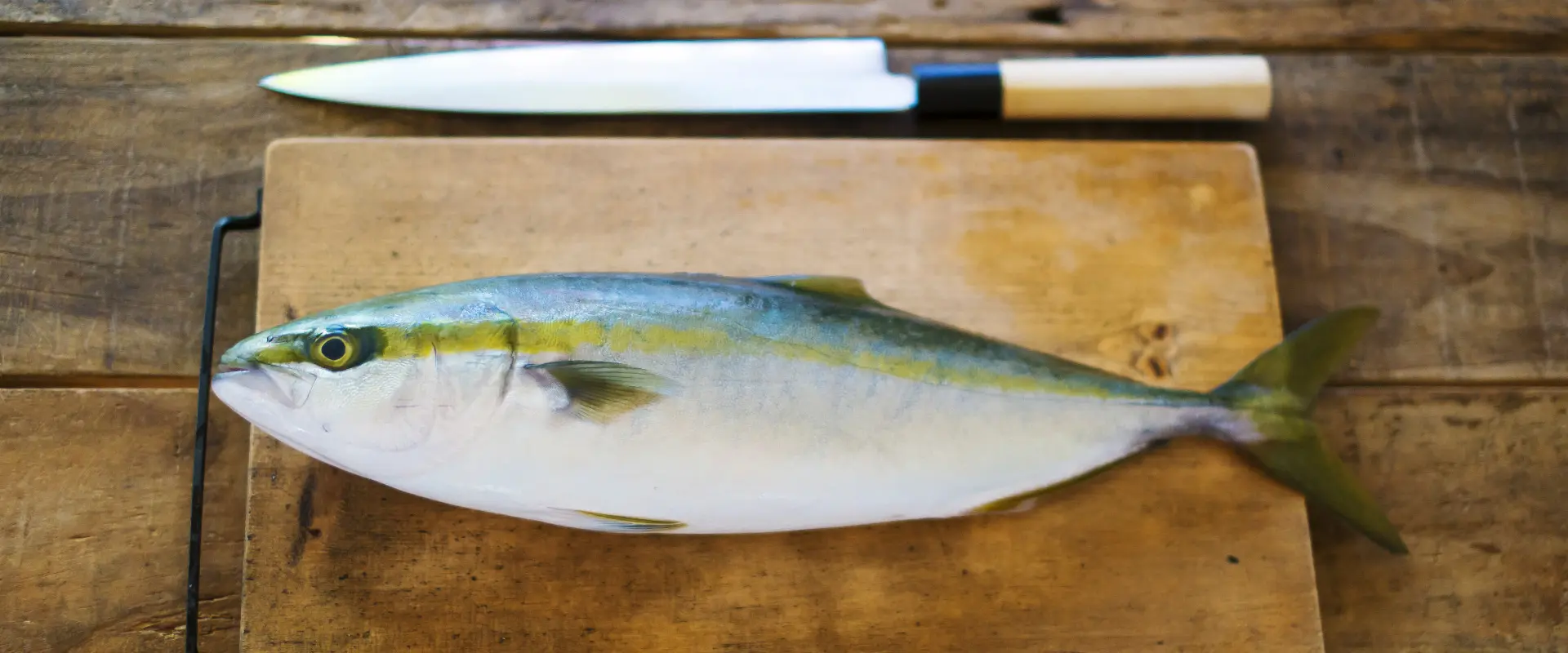 イナダの刺身はまずい？食べ方のアレンジは？寄生虫いるの？まとめ