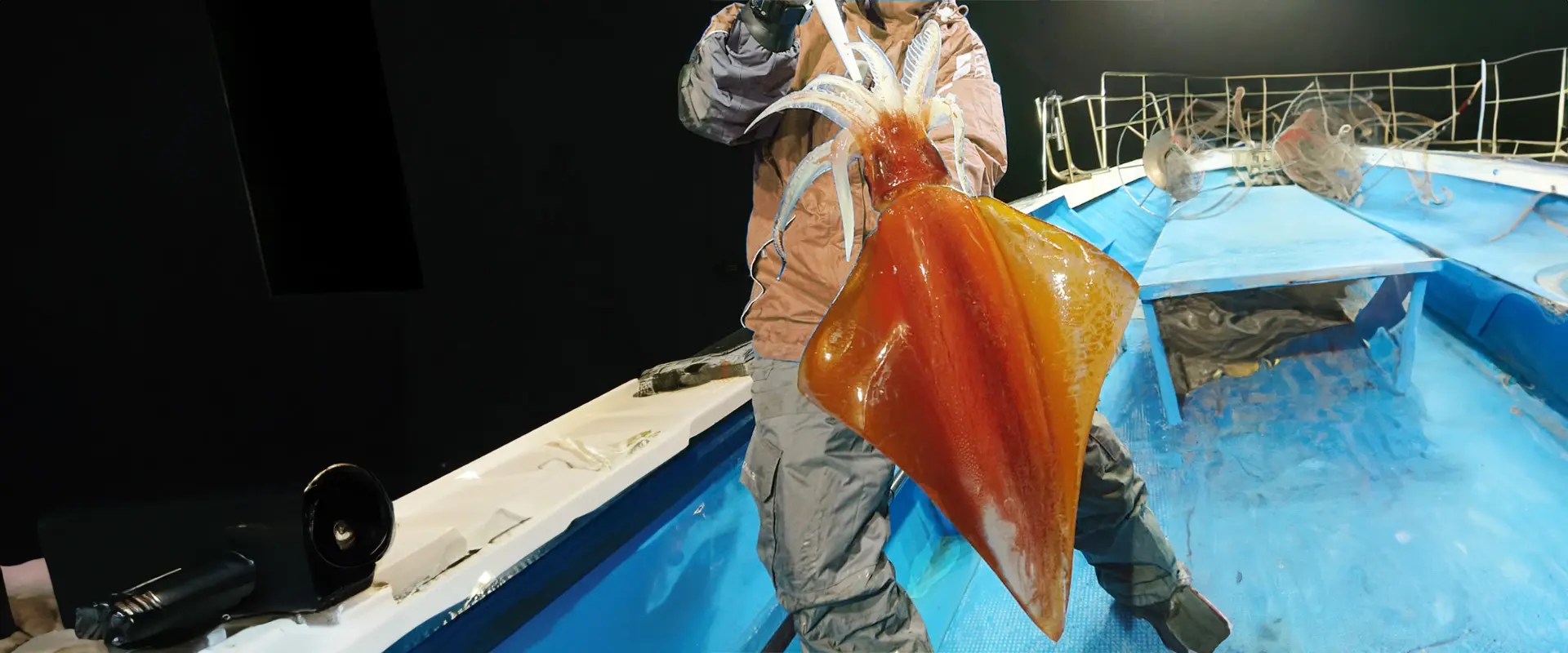 ソデイカに寄生虫はいるの？