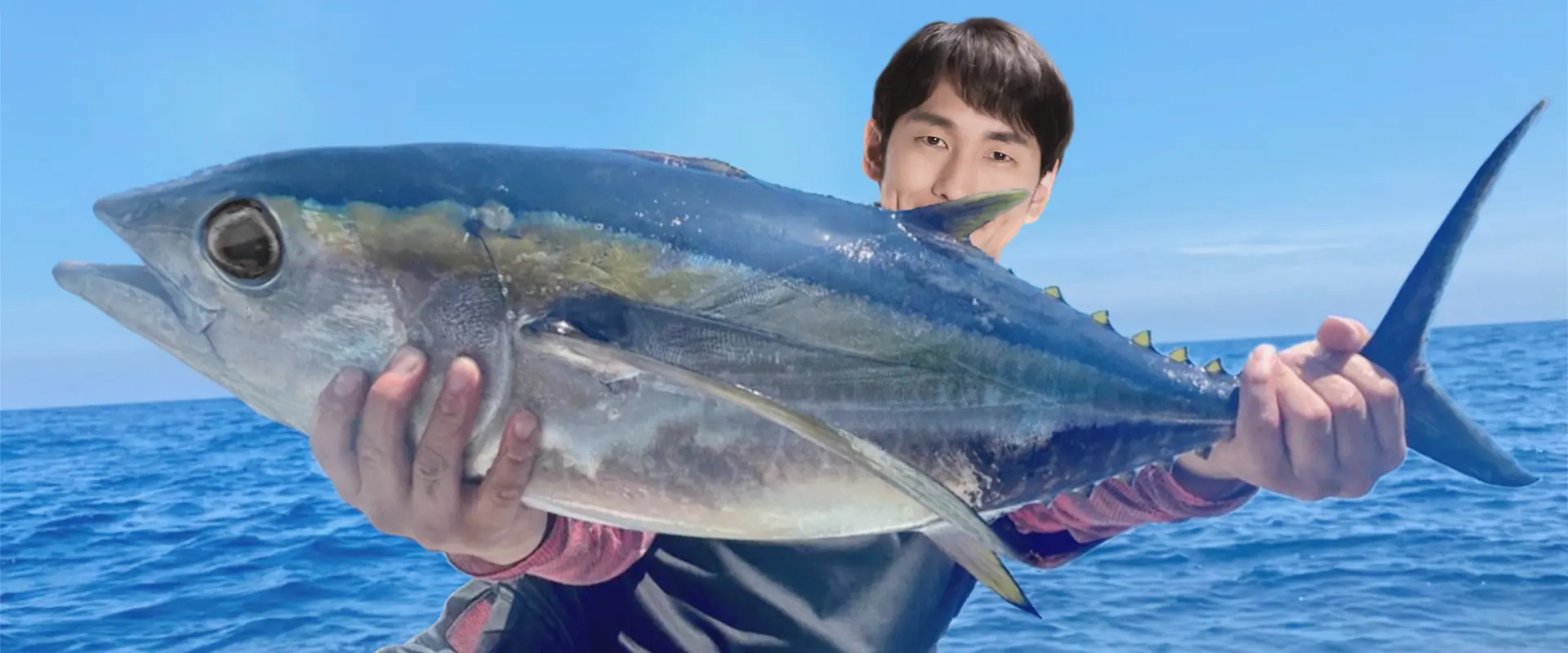 バチマグロとの違い