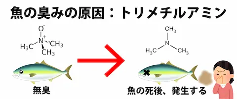 酢と清酒？