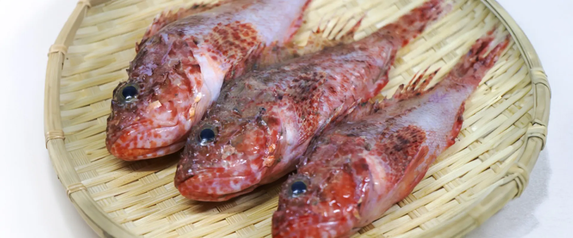 オニカサゴの美味しい食べ方