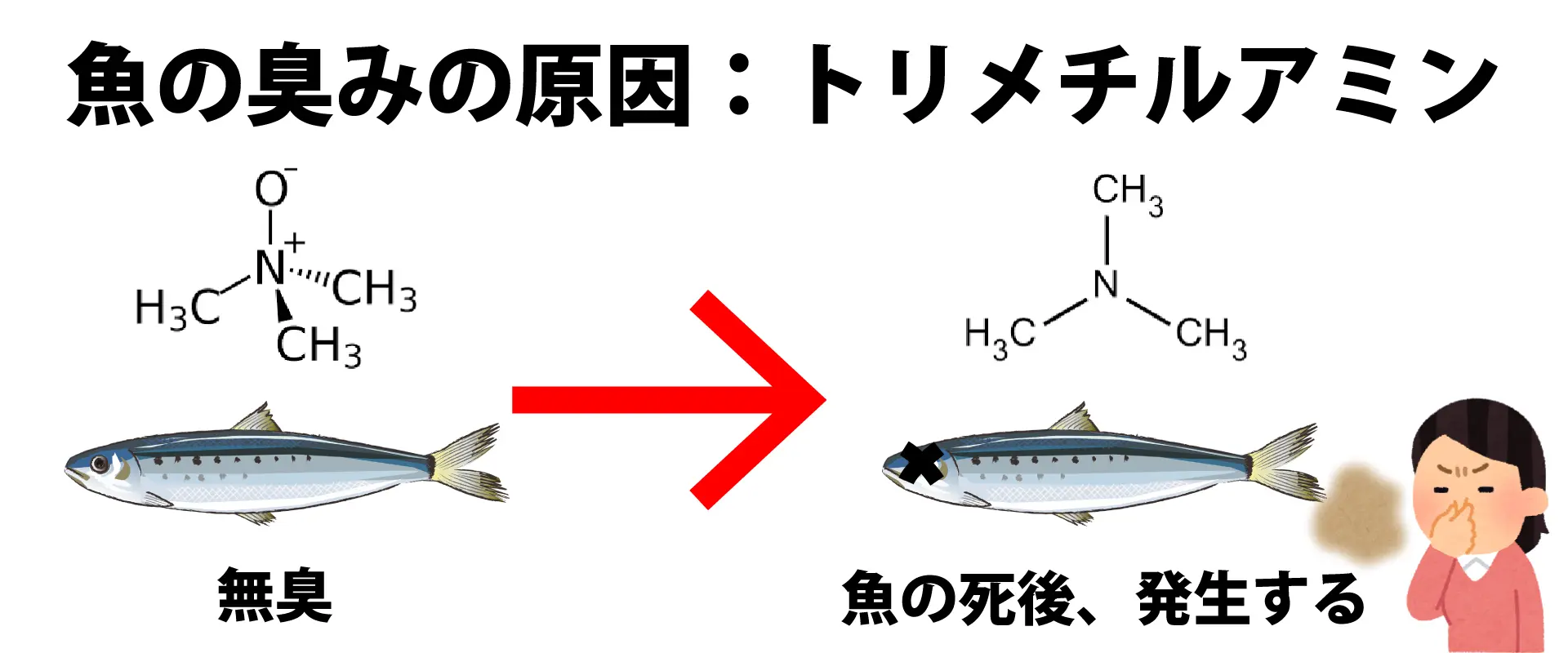 いわしの臭み