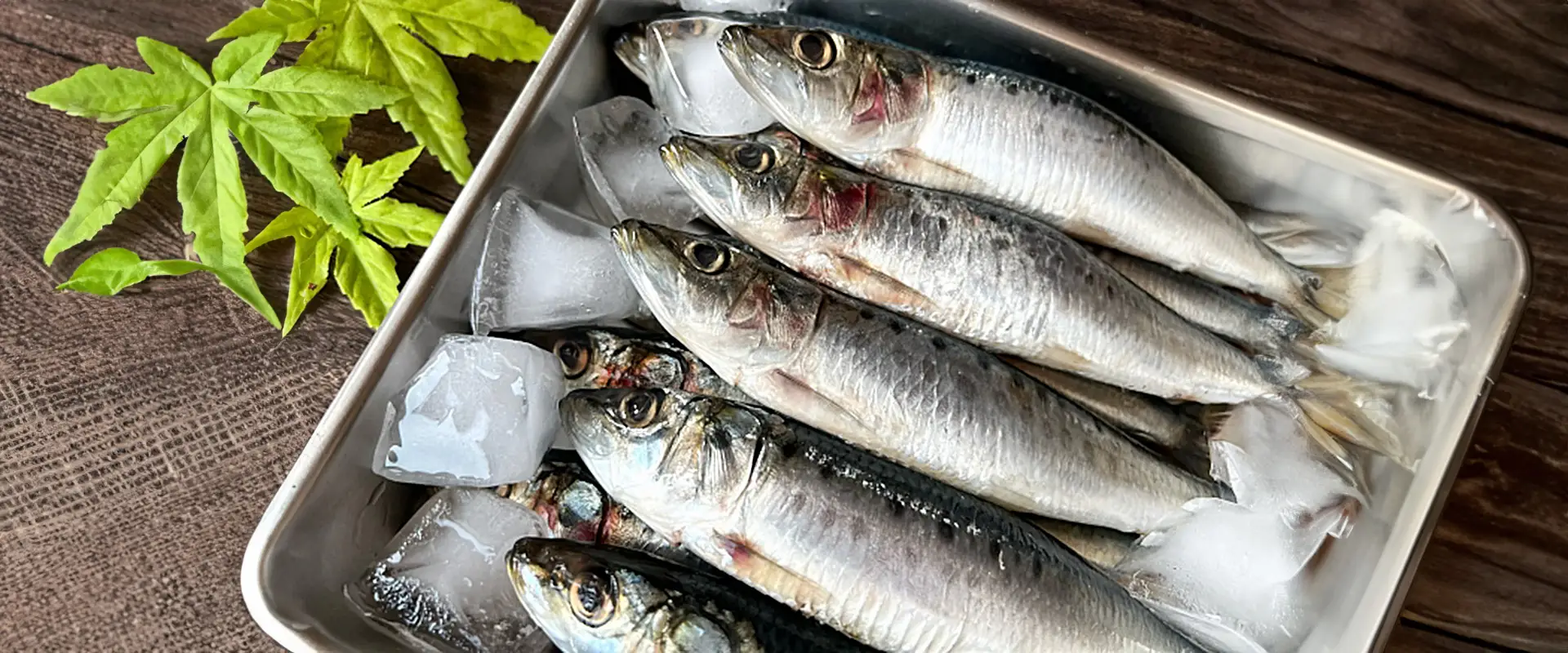 いわしの塩焼きは内臓も骨まで食べる？