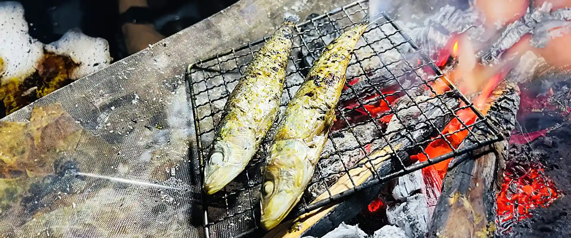 いわしの塩焼きは内臓も骨まで食べる？グリルでそのまま焼くと？まとめ