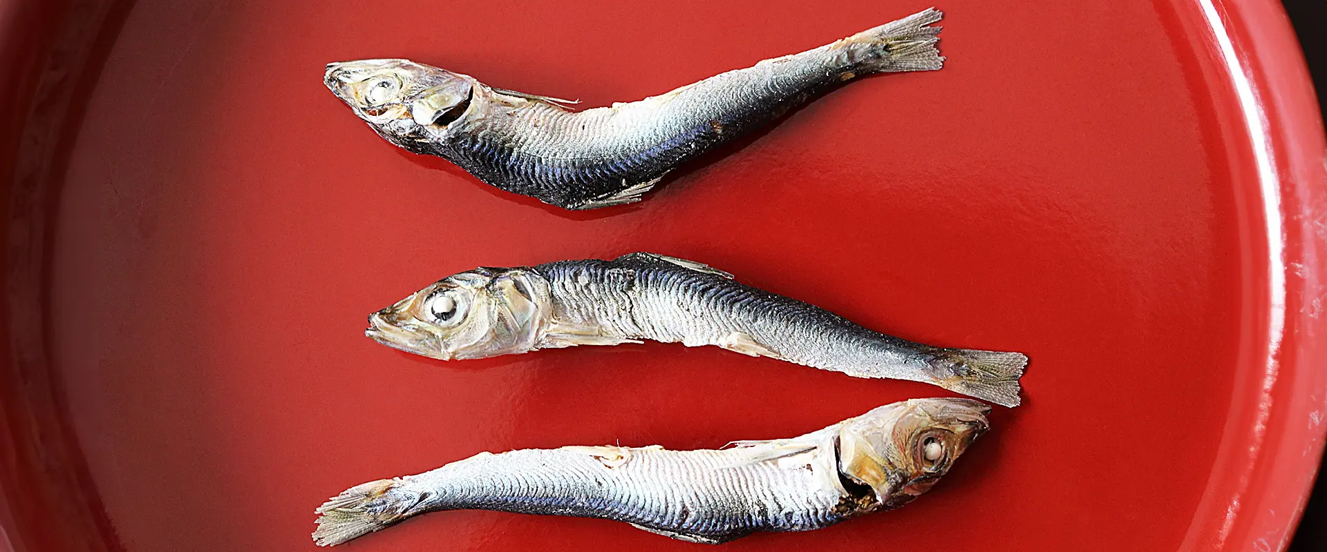 煮干しってなんの魚？そのまま食べると効果は？食べ過ぎ注意